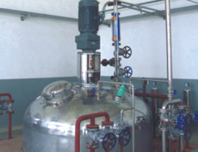 MSF-L-25型机械搅拌发酵罐