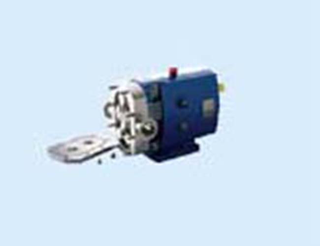 Rotor pump series